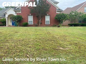 Grass Cut nearby Southaven, MS, 