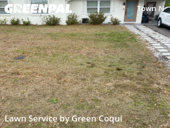 Lawn Mowing nearby Tampa, FL, 