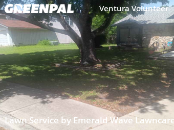 Grass Cut nearby San Antonio, TX, 