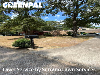 Grass Cut nearby Conroe, TX, 