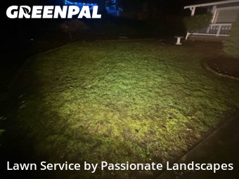 Lawn mowed in Lakewood, 98498