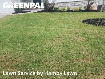 Lawn mowed in Greenville, 29605