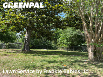 Yard Cutting nearby Jacksonville, FL, 