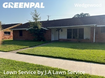 Lawn Mowingin Pasadena,77502,Grass Cutting by J.A Lawn Service, work completed in Nov , 2025