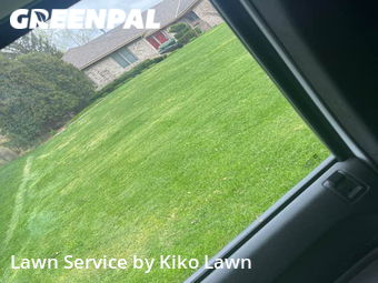Lawn Care nearby Minneapolis, MN, 