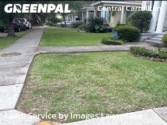Lawn Care Service nearby New Orleans, LA, 