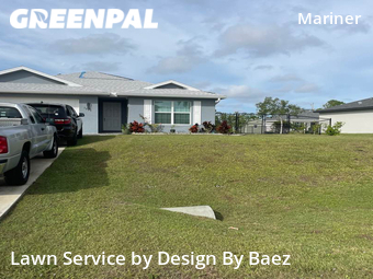 Lawn Cut nearby Cape Coral, FL, 