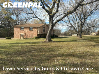 Lawn Mow nearby Mt. Juliet, GA, 