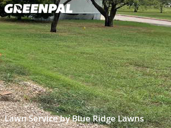 Lawn Care nearby Princeton, TX, 