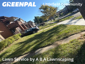 Lawn Cut nearby Detroit, MI, 