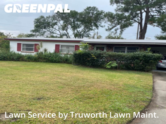 Grass Cut nearby Orlando, FL, 