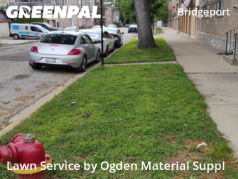 Lawn Service nearby Chicago, IL, 