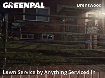 Yard Care in Washington, 20018, Lawn Cutting by Anything Serviced In, work completed in Nov , 2025