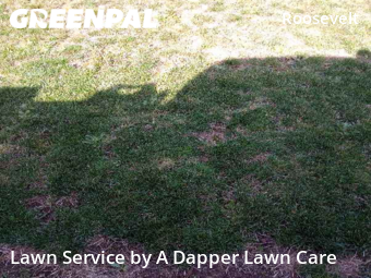 Lawn Cut nearby Bellingham, WA, 