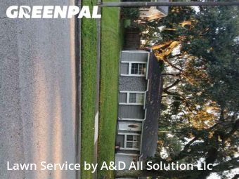 Yard Cutting nearby Orlando, FL, 