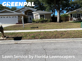 Yard Mowing nearby Palm Harbor, FL, 