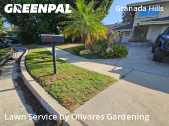 Work completed by affordable-grass-cutting-businesses-in-Los Angeles-CA