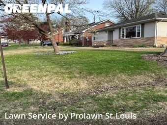 Yard Mowing nearby Alton, MO, 