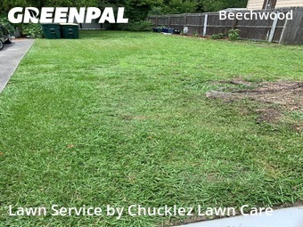 Grass Cut nearby Jacksonville, FL, 