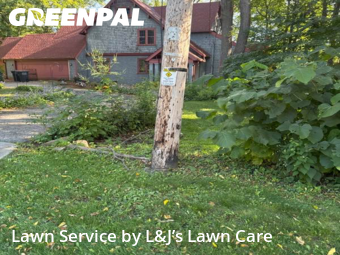Yard Work in Greenfield, 53228, Turf Services by L&J’s Lawn Care , work completed in Nov , 2025