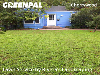 Lawn Mowing Service nearby Austin, TX, 