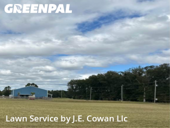 Grass Cutting nearby New Hope, AL, 