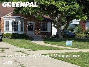 Lawn mowed in Eastpointe, 48021