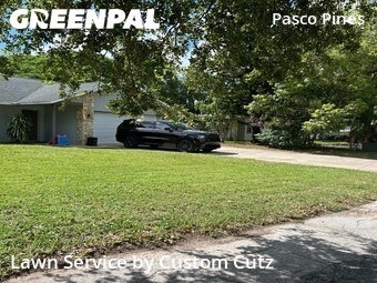 Lawn Cut nearby Holiday, FL, 