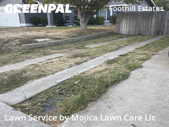 Lawn Mow nearby Citrus Heights, CA, 