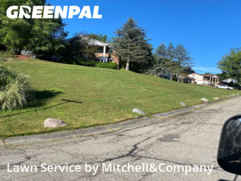 Yard Work in West Bloomfield Township, 48323, Lawn Cutting by Mitchell&Company, work completed in Dec , 2025
