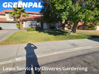 Work completed by grass-cutting-businesses-in-Palmdale-CA