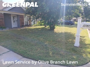 Lawn Cut nearby Fort Worth, TX, 