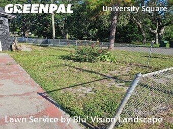 Grass Cutting nearby Tampa, FL, 