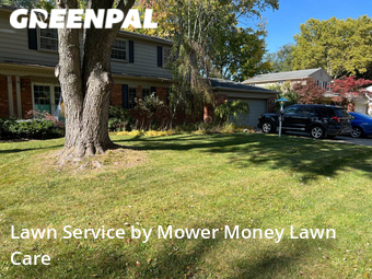 Grass Cut nearby Clinton Township, MI, 