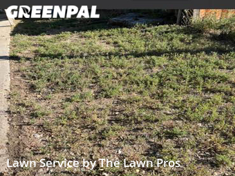 Lawn Mowing Service nearby Longmont, CO, 