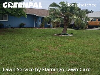 Yard Mowing nearby Cape Coral, FL, 