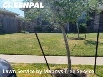 Yard Cutting nearby Texas City, TX, 