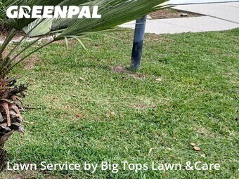 Lawn Mow nearby Longwood, FL, 