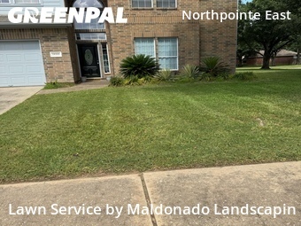 Lawn Mow nearby Tomball, TX, 