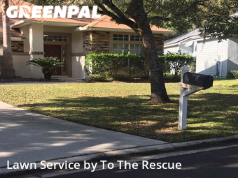 Grass Cut nearby Jacksonville, FL, 