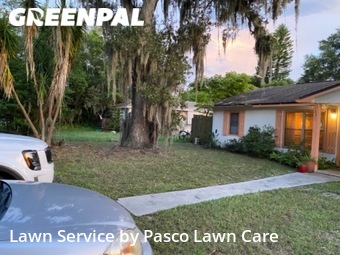 Yard Mowing nearby Palm Harbor, FL, 