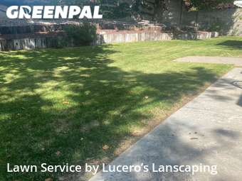 Lawn Mow nearby Albuquerque, NM, 