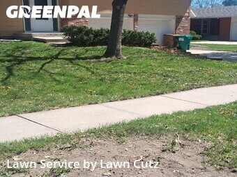 Lawn Cut nearby Lincoln, NE, 