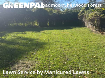 Weekly Mowing in Baton Rouge, 70815, Lawn Upkeep by Manicured Lawns, work completed in Dec , 2025