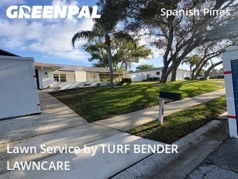 Yard Cutting nearby Dunedin, FL, 