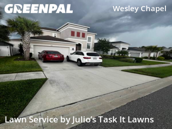 Lawn Mow nearby Wesley Chapel, FL, 