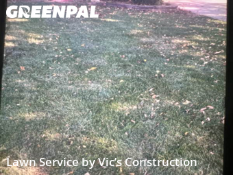 Lawn Care nearby Crest Hill, IL, 