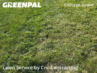 Lawn Cut nearby Youngstown, OH, 