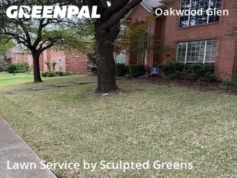 Lawn Care nearby Plano, TX, 