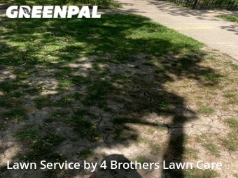 Lawn Mow nearby Hammond, IL, 